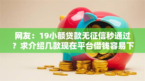 网友：19小额贷款无征信秒通过？求介绍几款现在平台借钱容易下款