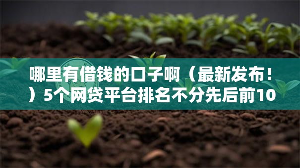 哪里有借钱的口子啊（最新发布！）5个网贷平台排名不分先后前100名