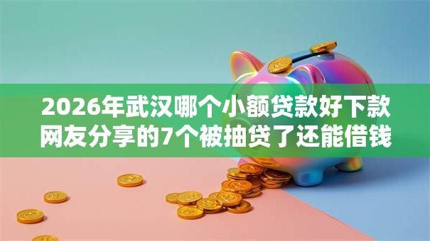 2026年武汉哪个小额贷款好下款网友分享的7个被抽贷了还能借钱的软件我觉得不错！