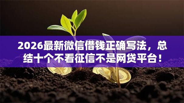 2026最新微信借钱正确写法，总结十个不看征信不是网贷平台！