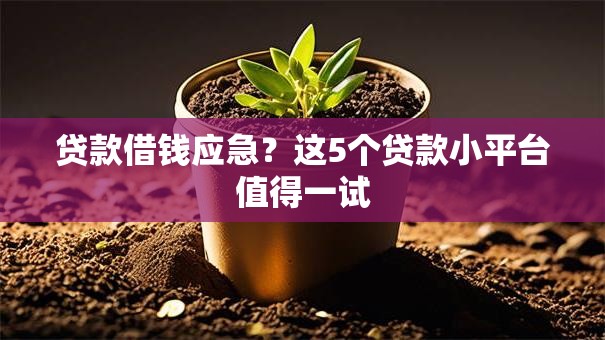 贷款借钱应急？这5个贷款小平台值得一试