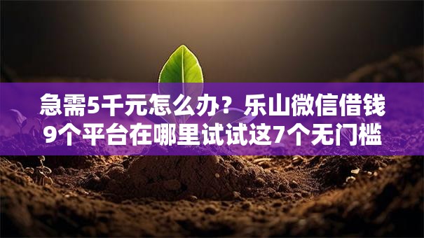 急需5千元怎么办？乐山微信借钱9个平台在哪里试试这7个无门槛平台