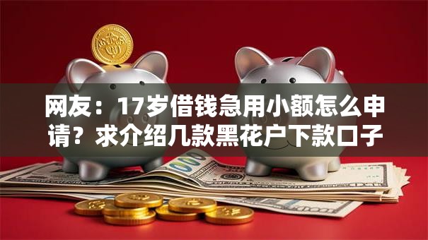 网友：17岁借钱急用小额怎么申请？求介绍几款黑花户下款口子