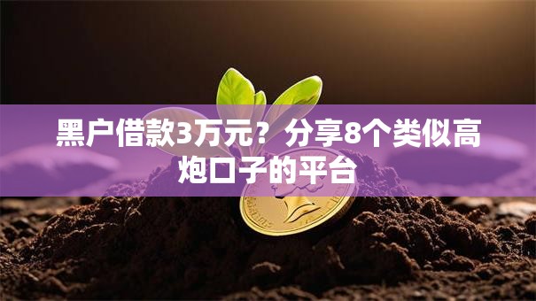 黑户借款3万元？分享8个类似高炮口子的平台