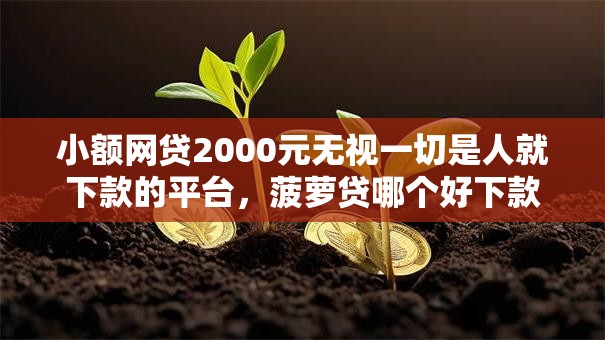 小额网贷2000元无视一切是人就下款的平台，菠萝贷哪个好下款的8个平台介绍
