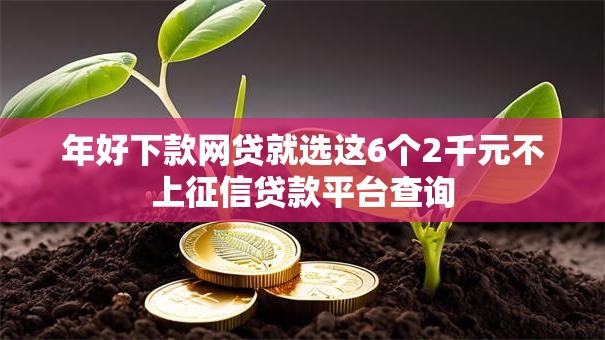 年好下款网贷就选这6个2千元不上征信贷款平台查询