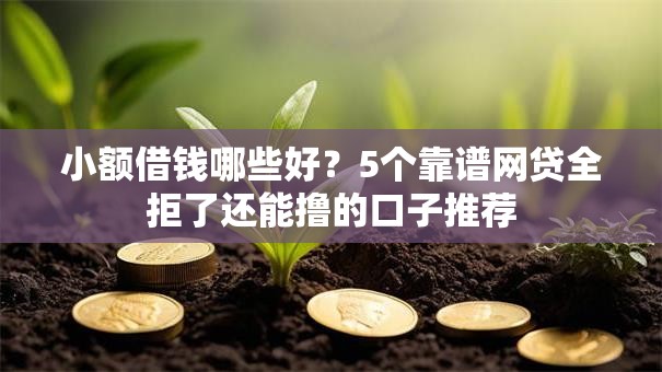 小额借钱哪些好？5个靠谱网贷全拒了还能撸的口子推荐