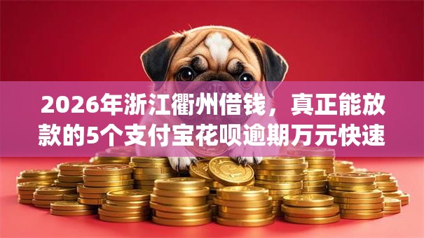 2026年浙江衢州借钱，真正能放款的5个支付宝花呗逾期万元快速贷款app推荐