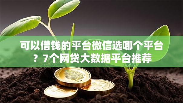 可以借钱的平台微信选哪个平台？7个网贷大数据平台推荐