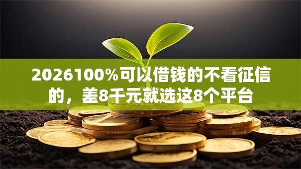 2026100%可以借钱的不看征信的，差8千元就选这8个平台