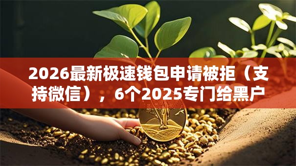 2026最新极速钱包申请被拒（支持微信），6个2025专门给黑户放款的平台无私分享
