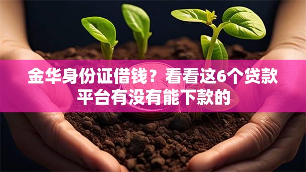 金华身份证借钱？看看这6个贷款平台有没有能下款的