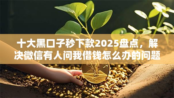 十大黑口子秒下款2025盘点，解决微信有人问我借钱怎么办的问题