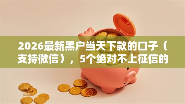 2026最新黑户当天下款的口子（支持微信），5个绝对不上征信的贷款平台无私分享