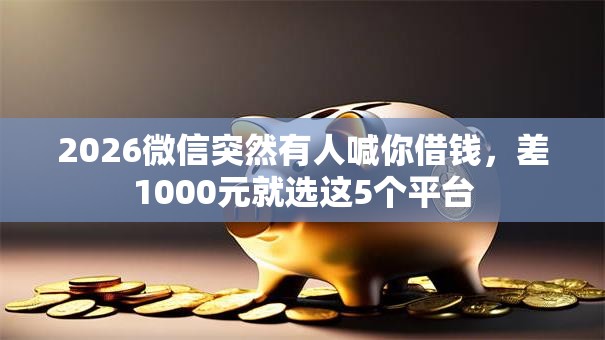 2026微信突然有人喊你借钱，差1000元就选这5个平台