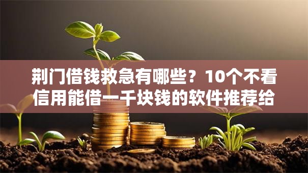 荆门借钱救急有哪些？10个不看信用能借一千块钱的软件推荐给你