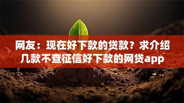 网友：现在好下款的贷款？求介绍几款不查征信好下款的网贷app