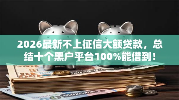 2026最新不上征信大额贷款，总结十个黑户平台100%能借到！