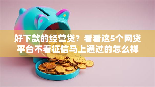 好下款的经营贷？看看这5个网贷平台不看征信马上通过的怎么样