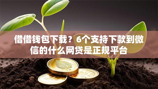 借借钱包下载？6个支持下款到微信的什么网贷是正规平台