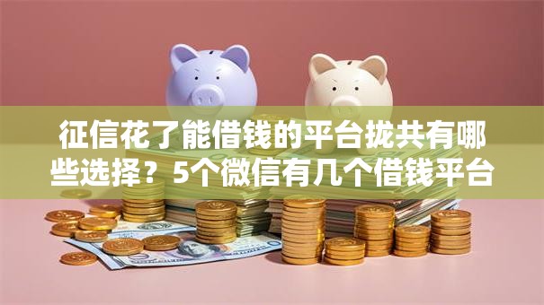 征信花了能借钱的平台拢共有哪些选择？5个微信有几个借钱平台详解