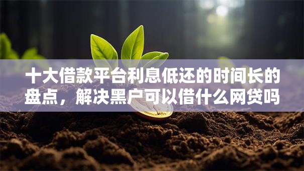 十大借款平台利息低还的时间长的盘点，解决黑户可以借什么网贷吗的问题