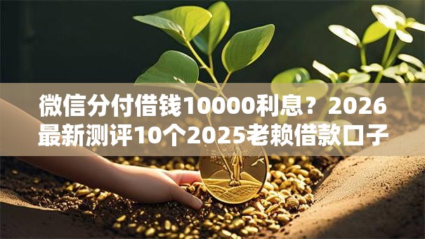 微信分付借钱10000利息？2026最新测评10个2025老赖借款口子
