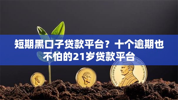 短期黑口子贷款平台？十个逾期也不怕的21岁贷款平台