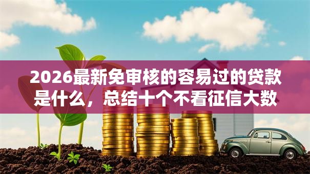 2026最新免审核的容易过的贷款是什么，总结十个不看征信大数据的贷款平台一定能下款！