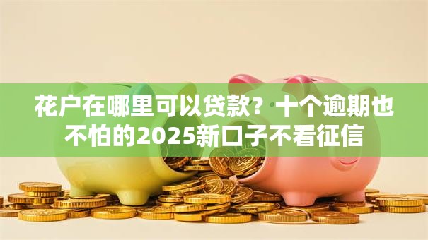 花户在哪里可以贷款？十个逾期也不怕的2025新口子不看征信