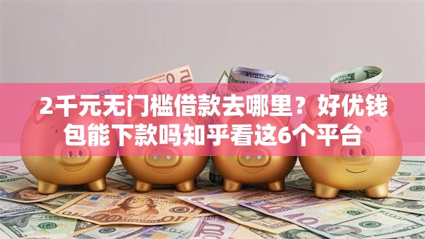 2千元无门槛借款去哪里？好优钱包能下款吗知乎看这6个平台