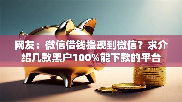 网友：微信借钱提现到微信？求介绍几款黑户100%能下款的平台