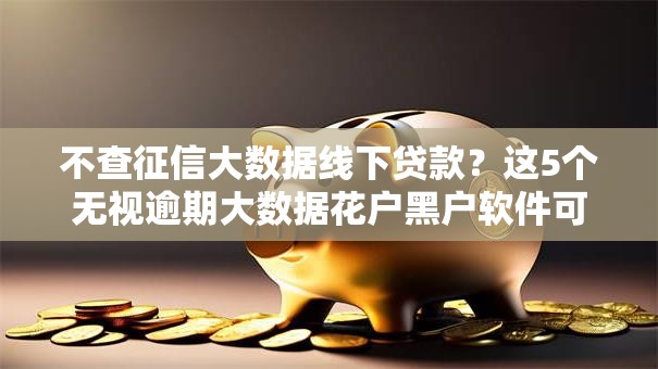 不查征信大数据线下贷款？这5个无视逾期大数据花户黑户软件可以试试