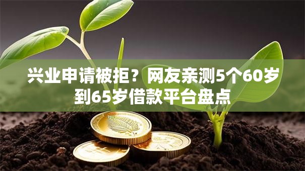 兴业申请被拒？网友亲测5个60岁到65岁借款平台盘点