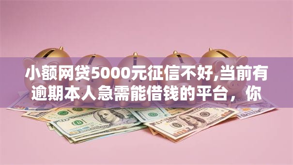 小额网贷5000元征信不好,当前有逾期本人急需能借钱的平台，你我贷-极融容易下款吗的5个平台介绍