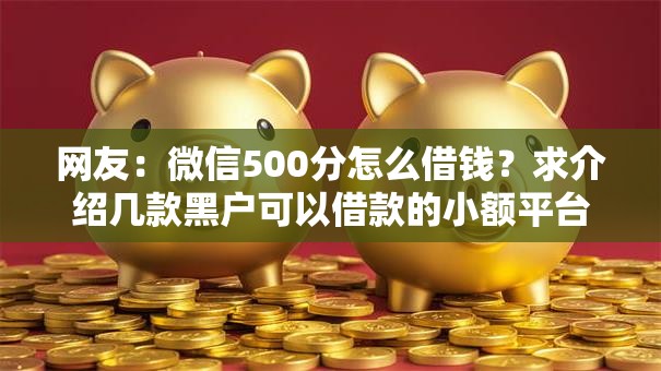 网友：微信500分怎么借钱？求介绍几款黑户可以借款的小额平台