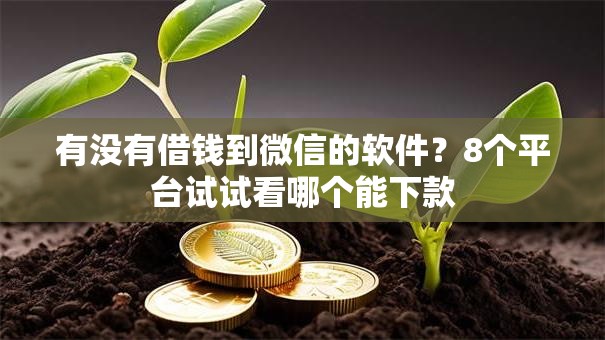有没有借钱到微信的软件？8个平台试试看哪个能下款