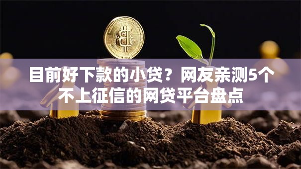 目前好下款的小贷？网友亲测5个不上征信的网贷平台盘点