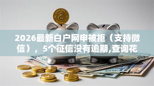 2026最新白户网申被拒（支持微信），5个征信没有逾期,查询花了,能贷款的平台无私分享