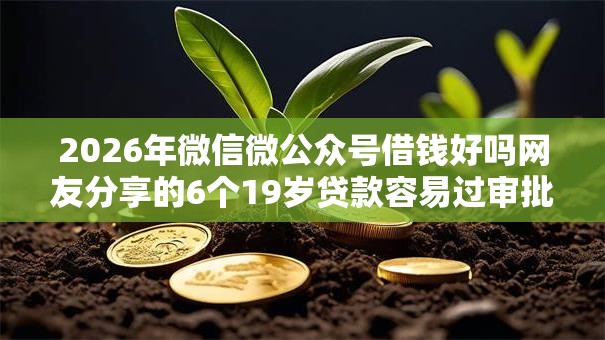 2026年微信微公众号借钱好吗网友分享的6个19岁贷款容易过审批的平台我觉得不错！