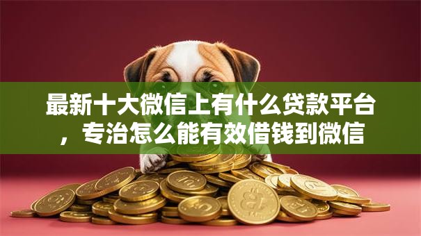 最新十大微信上有什么贷款平台，专治怎么能有效借钱到微信