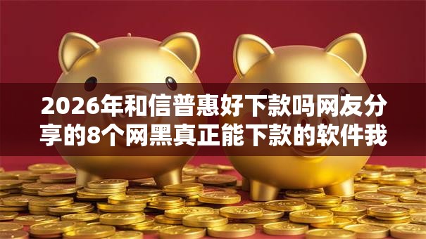 2026年和信普惠好下款吗网友分享的8个网黑真正能下款的软件我觉得不错！