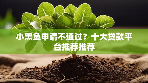 小黑鱼申请不通过？十大贷款平台推荐推荐