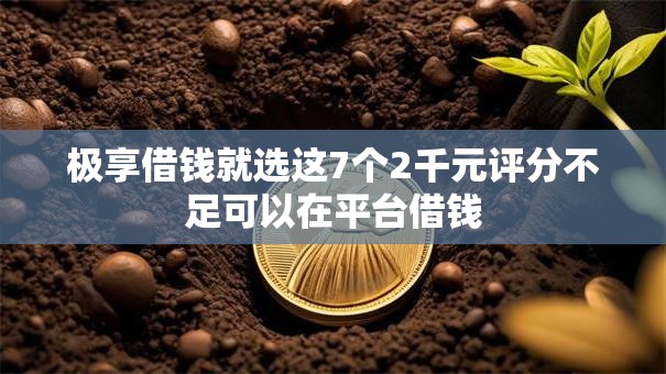 极享借钱就选这7个2千元评分不足可以在平台借钱