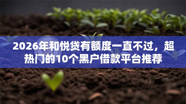 2026年和悦贷有额度一直不过，超热门的10个黑户借款平台推荐