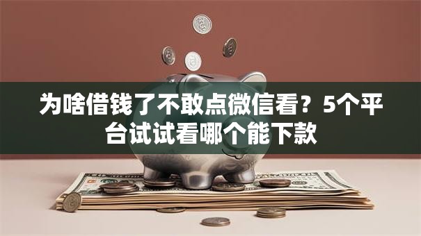 为啥借钱了不敢点微信看？5个平台试试看哪个能下款