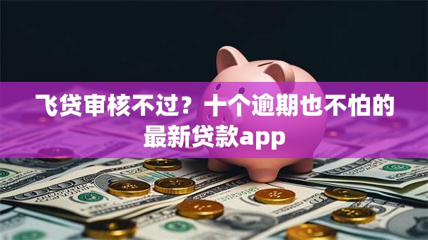 飞贷审核不过？十个逾期也不怕的最新贷款app