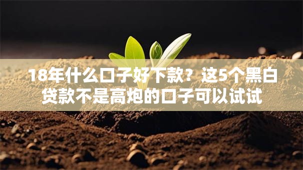 18年什么口子好下款？这5个黑白贷款不是高炮的口子可以试试