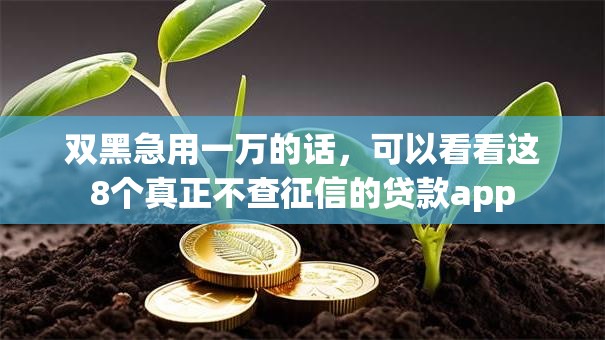 双黑急用一万的话，可以看看这8个真正不查征信的贷款app