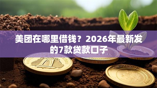 美团在哪里借钱？2026年最新发的7款贷款口子